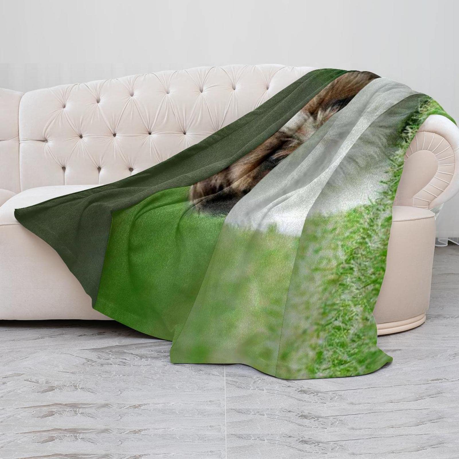 Couverture polaire super douce pour chien Shih Tzu Chiot