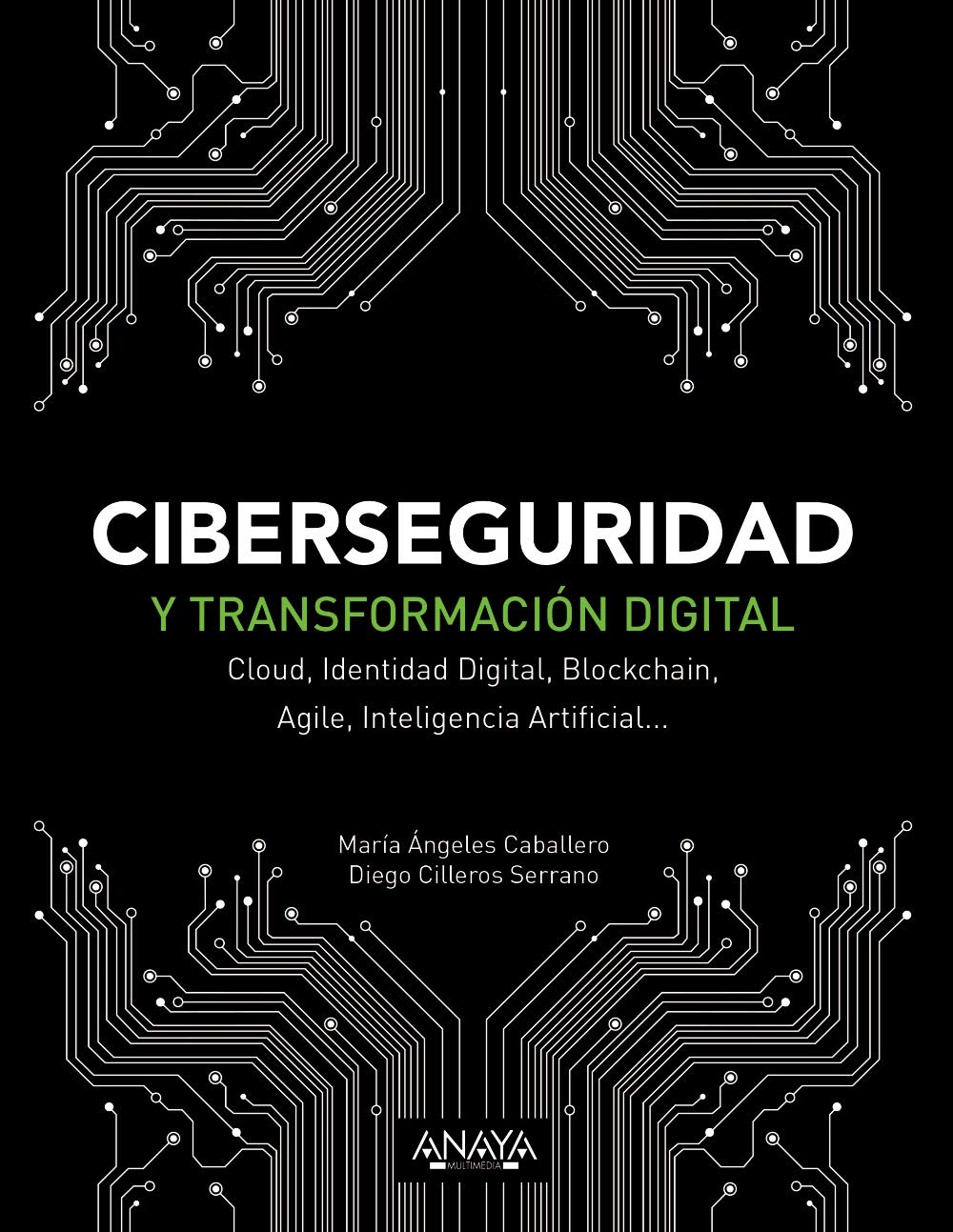 Ciberseguridad y transformación digital: Cloud, Identidad Digital, Blockchain, Agile, Inteligencia Artificial... (TÍTULOS ESPECIALES)