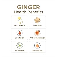 Vista 6 de The Ginger People - Jugo de jengibre puro 99% – Salud digestiva, calidad premium, botella de 32 onzas líquidas (paquete de 1)