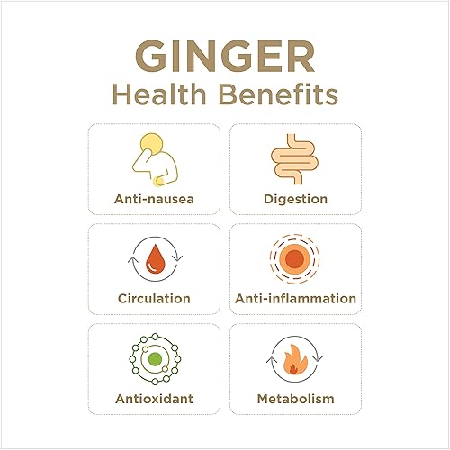 Miniatura 30 de The Ginger People Juego de jugo de jengibre y cúrcuma Digestión + antiinflamatorio 8 onzas líquidas (paquete de 2)