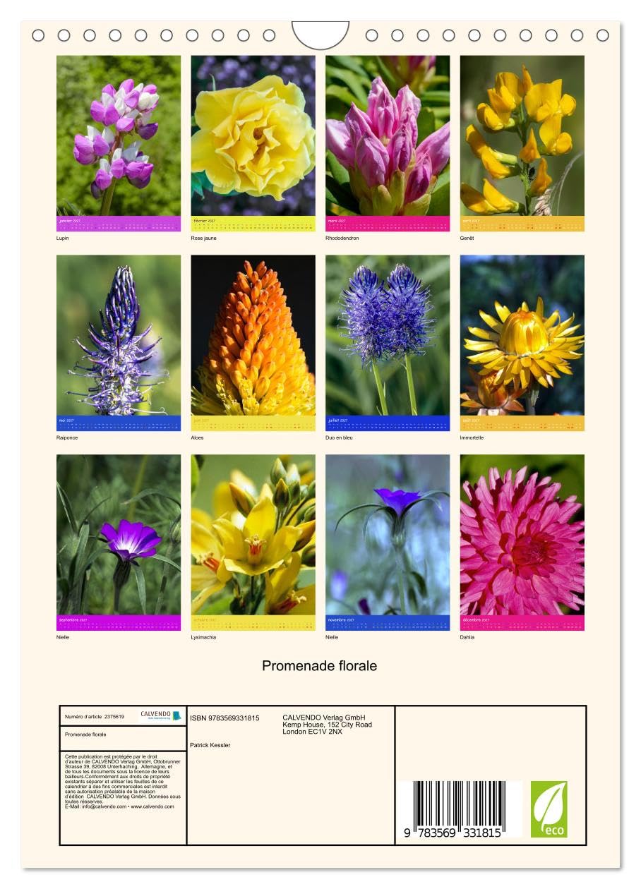 Promenade florale (Calendrier mural 2027 DIN A4 horizontal), CALVENDO calendrier mensuel: Mosaïque de fleurs pour un parcours floral