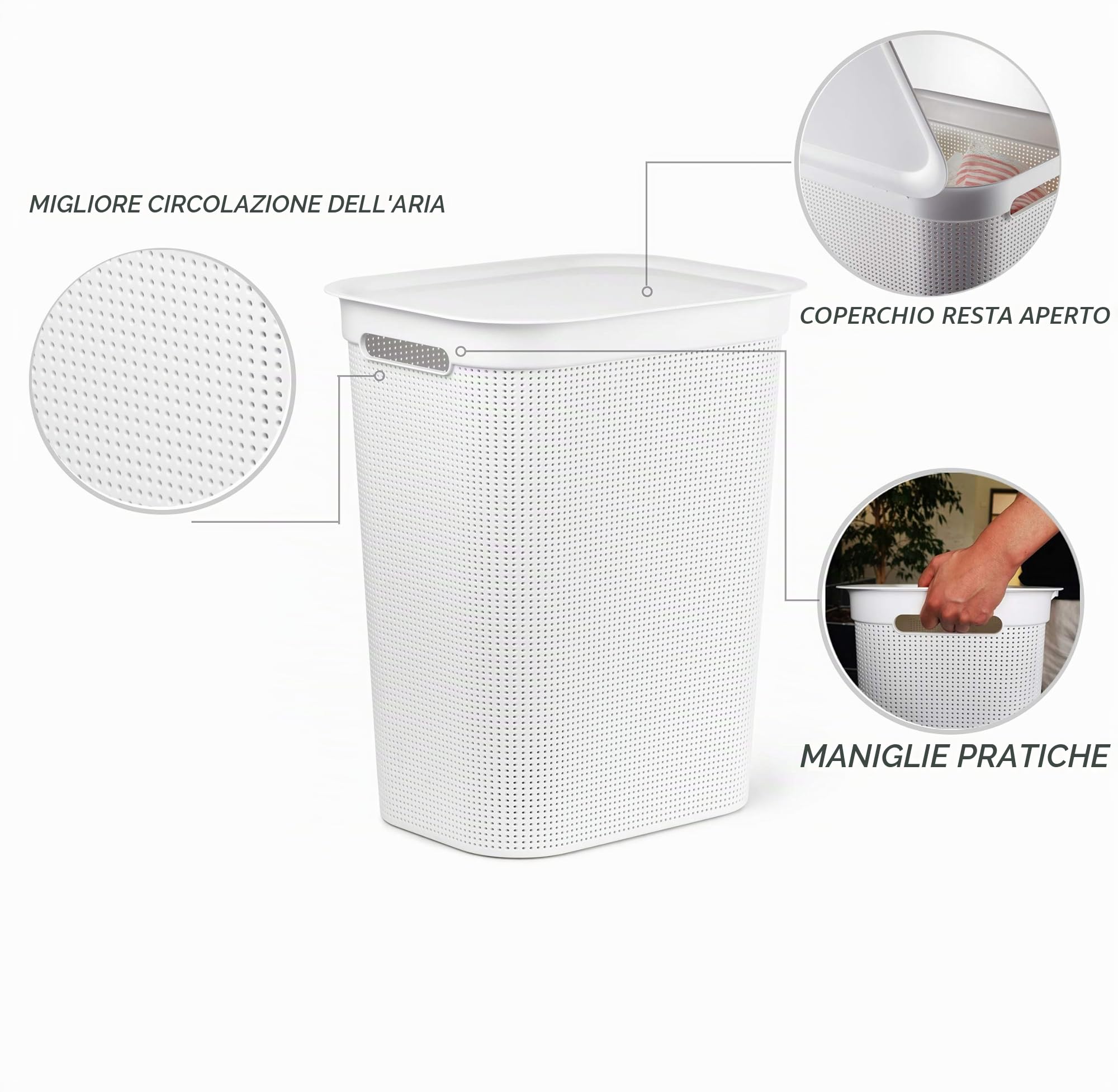 Rotho Brisen Raccoglitore di lavaggio 50l con coperchio e 2 maniglie, Plastica PP senza BPA, Bianco(Vischio), 50 l 43.1 x 34.0 x 52.9 cm