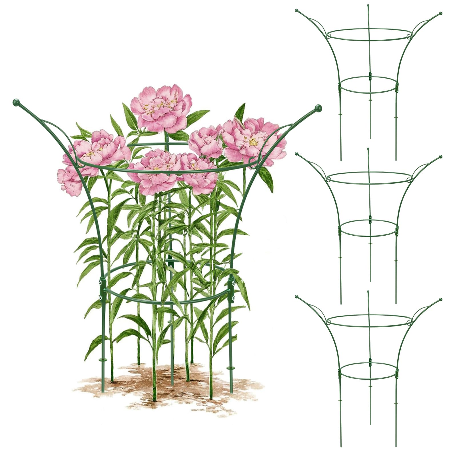 Peony Cages - Support Roses & Flowers -1 Peony Cages - Support Roses & Flowers -1