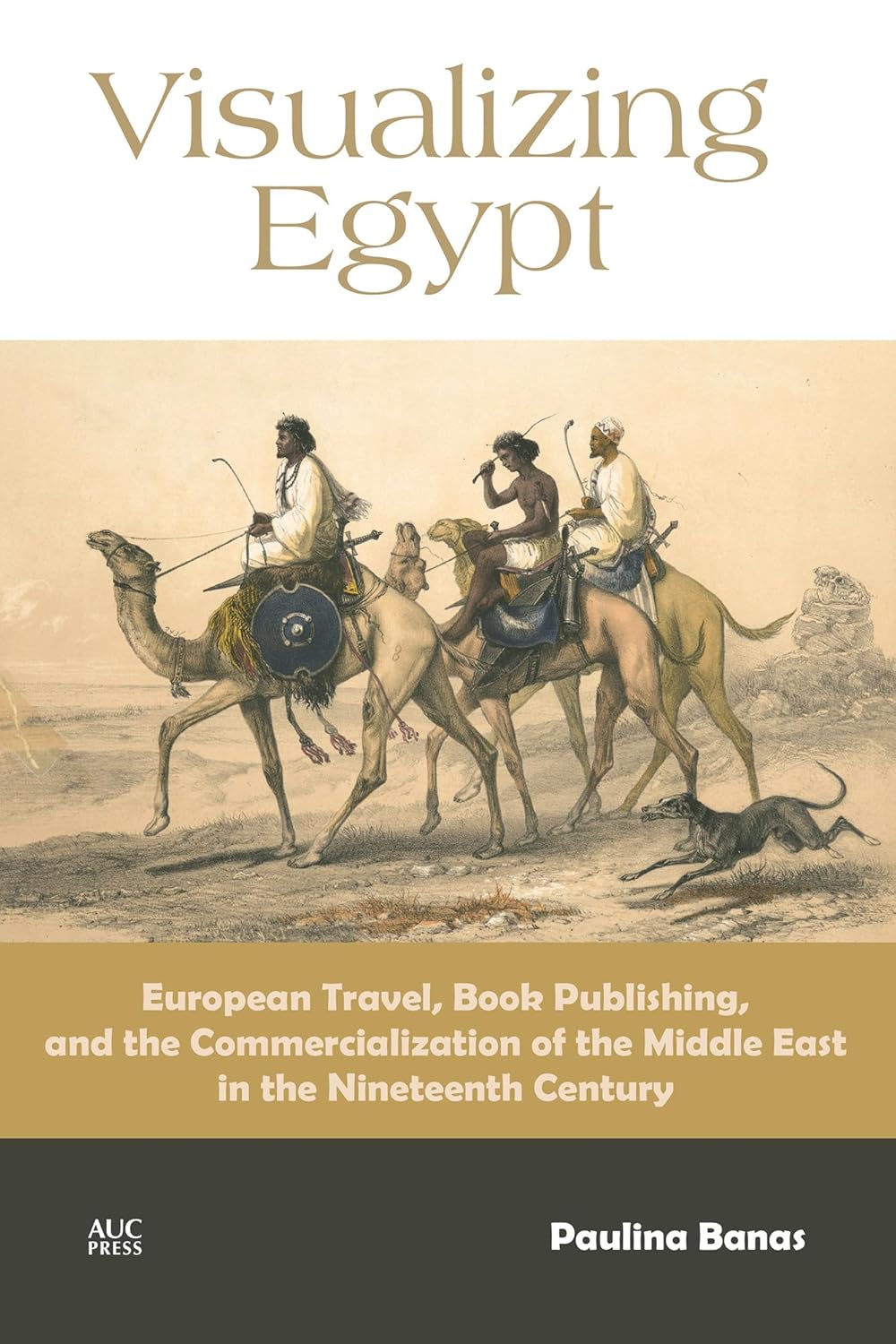 Visualizing Egypt: European Travel, Book Publishing, and the Commercialization of the Middle East in the Nineteenth Century      Hardcover – June 3, 2025