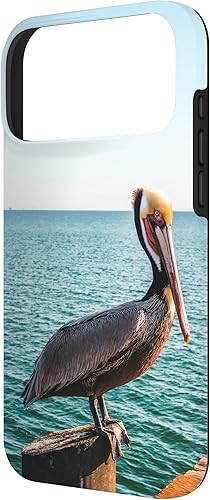 Vista 56 de iPhone 11 Pelican Case