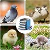 Automatic Egg Incubator, Digital Hatching Eggs with Fully Automatic Turner, Poultry Hatching Machine with Humidity Control, for Hatching Chicken Duck Quail Bird Eggs,256Eggs