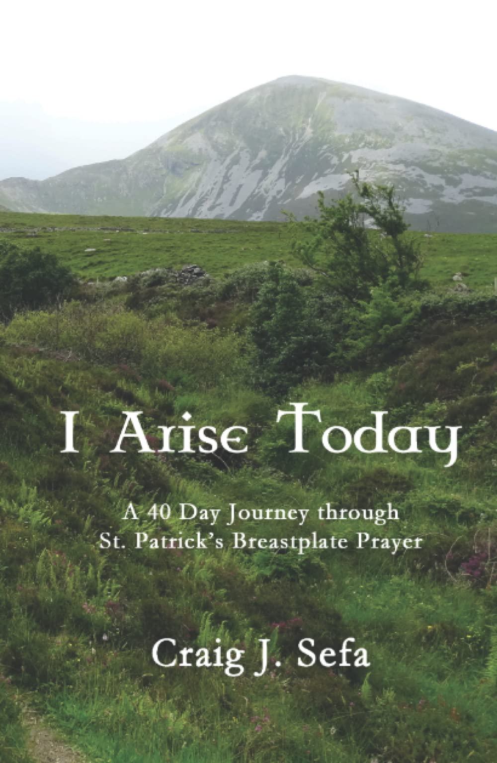 I Arise Today: A 40 Day Journey Through St. Patrick's Breastplate Prayer