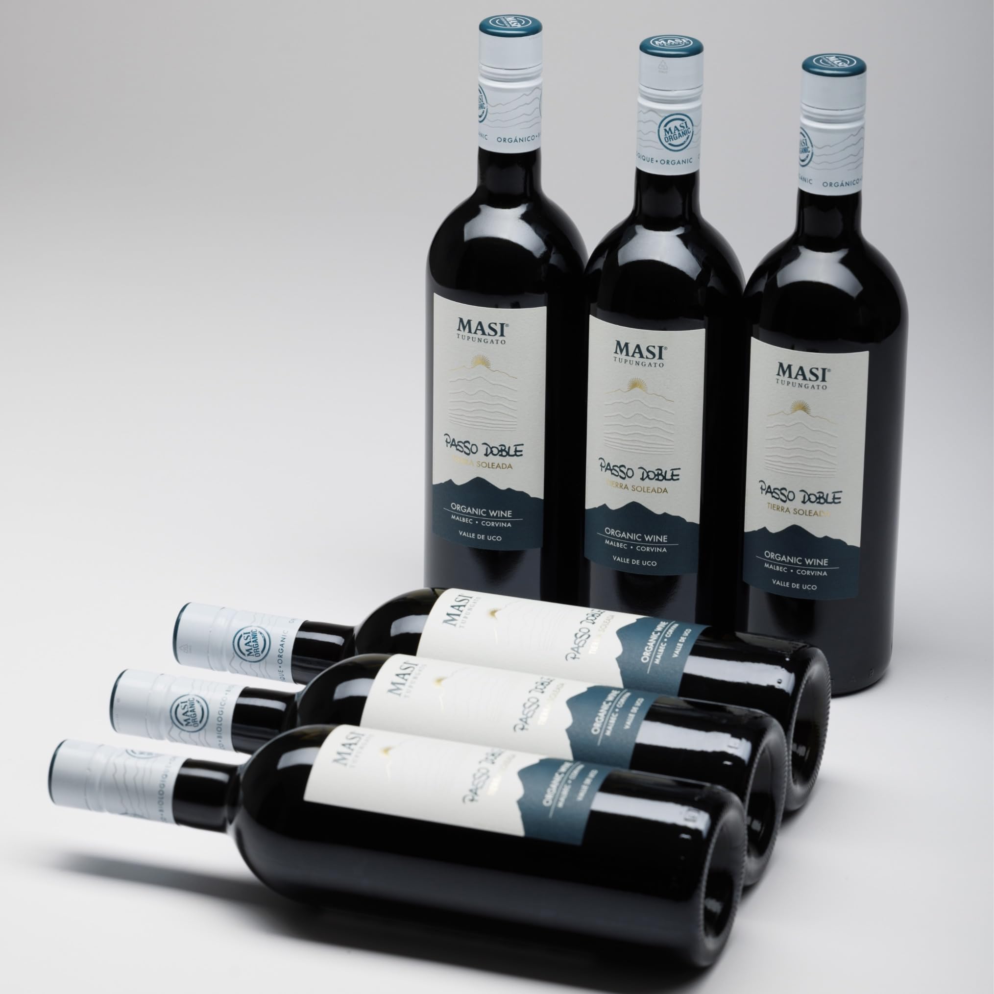 MASI Tupungato "PASSO DOBLE" 2023 | Vino Rosso di Argentina BIO | 6x750 ml | Appassimento Expertise | Confezione 6 bottiglie