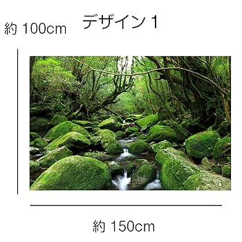 Amazon.co.jp: ND タペストリー 屋久島 世界遺産 自然 木漏れ日