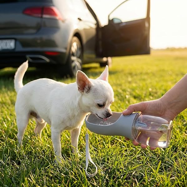 IWOTTO Funda Coche Perro | Protector Asiento Trasero y Maletero | Impermeable, Antideslizante y Ajustable | Pack Bebedero + Cinturón Seguridad | Fácil de Limpiar - 5