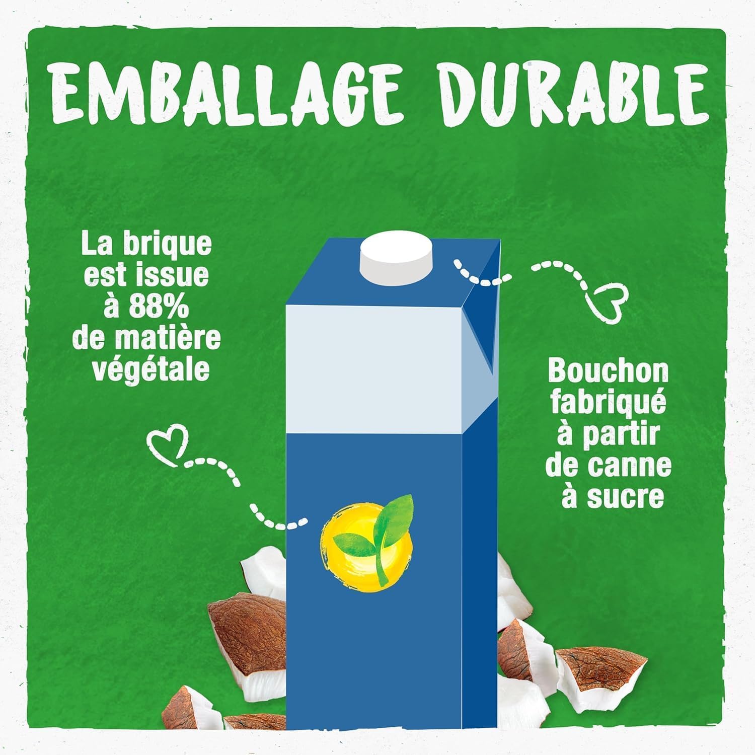 BJORG - Boisson Coco Sans Sucres - Boisson Végétale Bio - Pauvre En matières grasses - 1 L x 6
