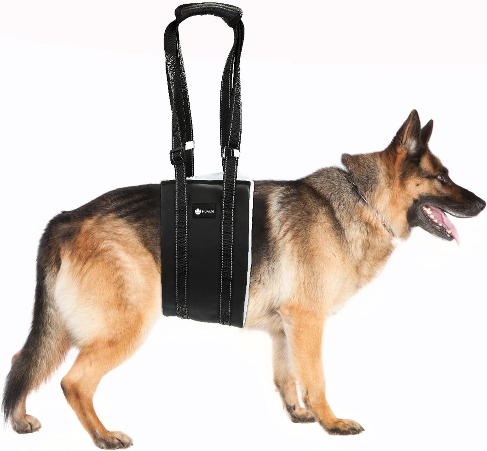 Amazon.com : Dog Sling for Back Legs,Dog Sling for Large Dogs Hind Leg ...