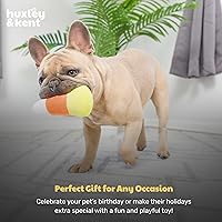 Vista 9 de Huxley & Kent Juguete Divertido de Halloween para Perros con Chirriador – Juguetes Chirriantes Power Plush para Perros Pequeños – Animal de Peluche