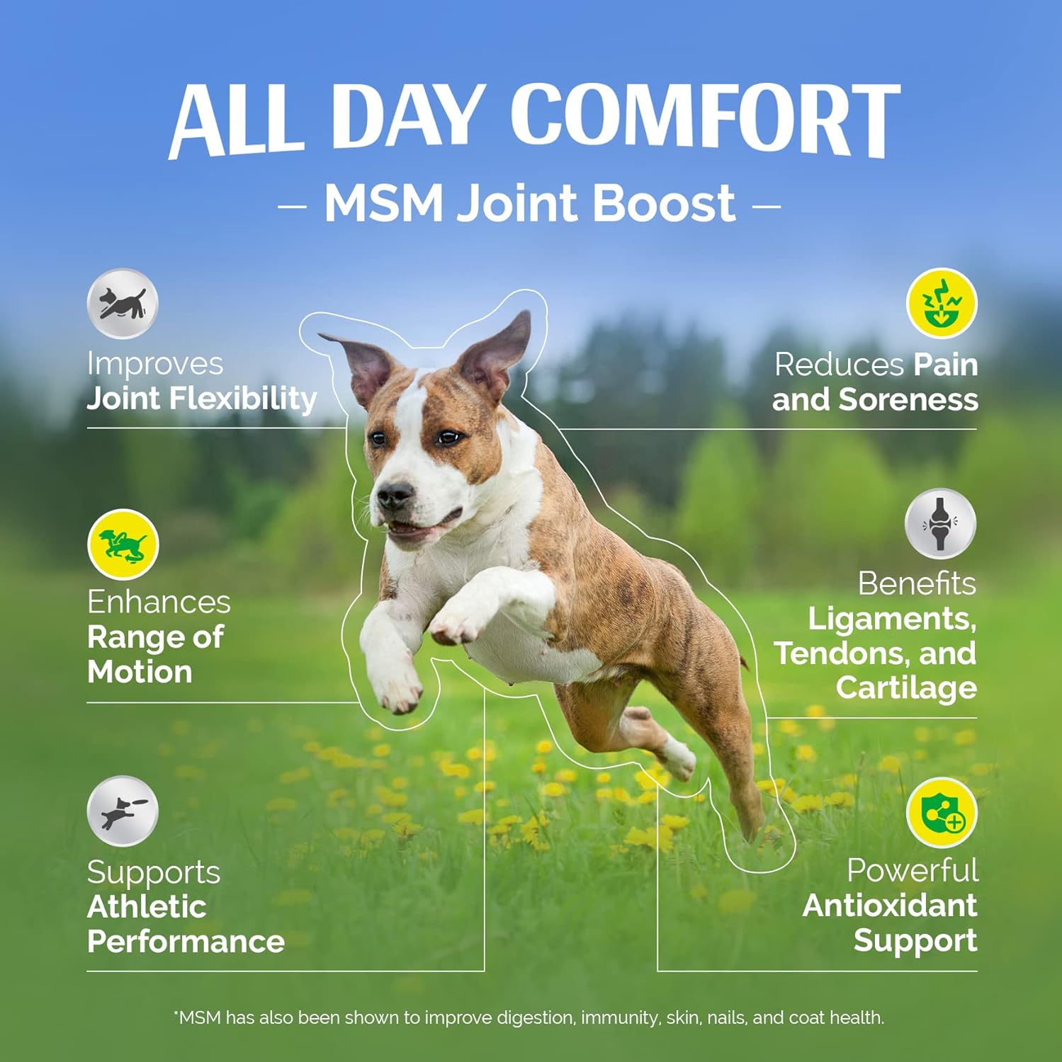 TopDog Health – MSM Joint Boost Powder – Hip & Joint Dog Supplement for Joint Mobility & Flexibility – Natural Anti-Inflammatory with Sulfur – Chicken Flavored