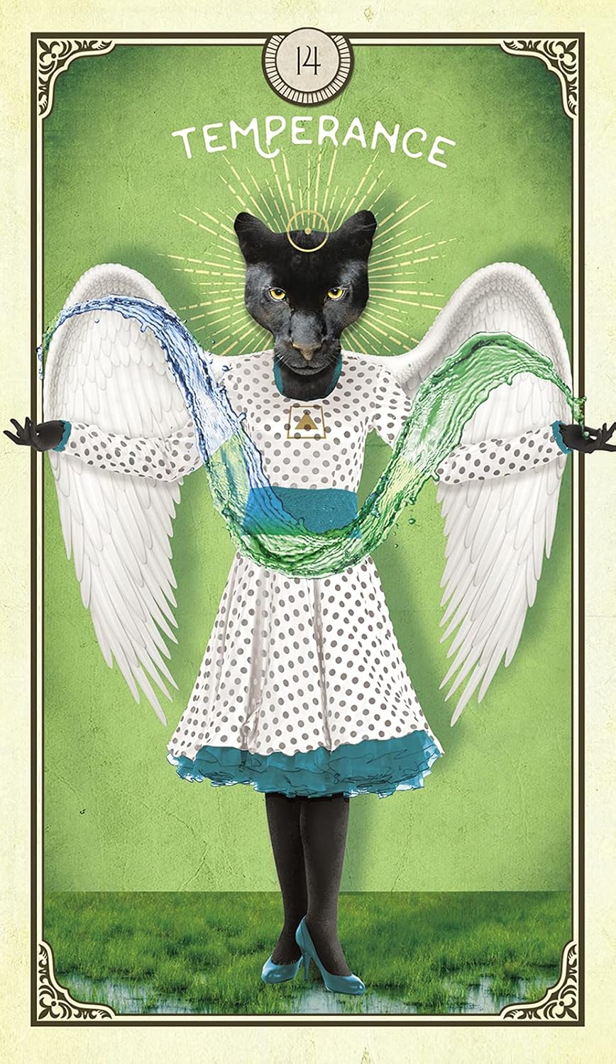 The Tarot of Curious Creatures: A 78 (+1) Card Deck and Guidebook