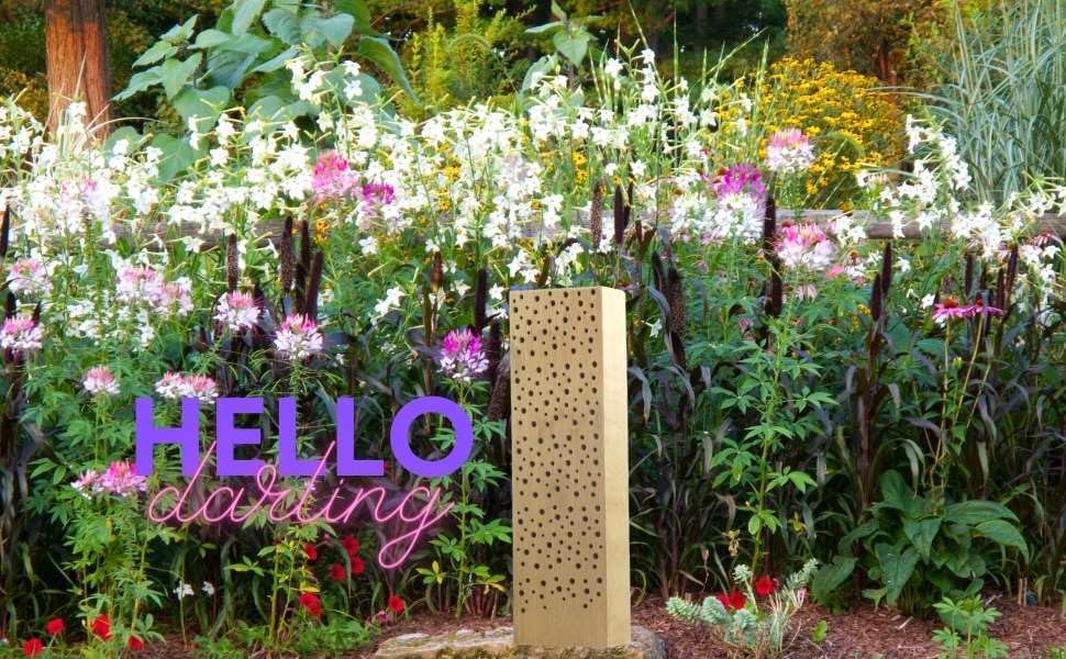 Grande blocco nido in legno massello 50 cm