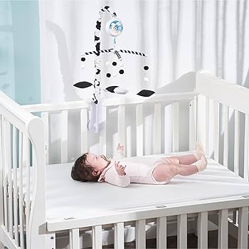 ミュージック BABYL - BABYL TRILOGY L RESISTANCE Amazon.com : EVERLOVE Montessori Mobile Baby for Crib