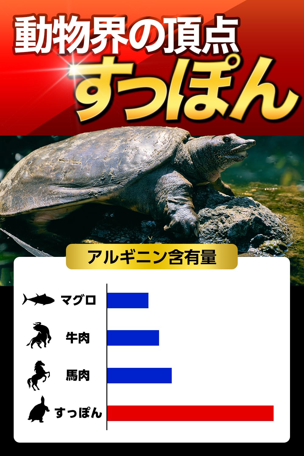 Amazon | 漲天 すっぽん クラチャイダム アルギニン テストフェン トン