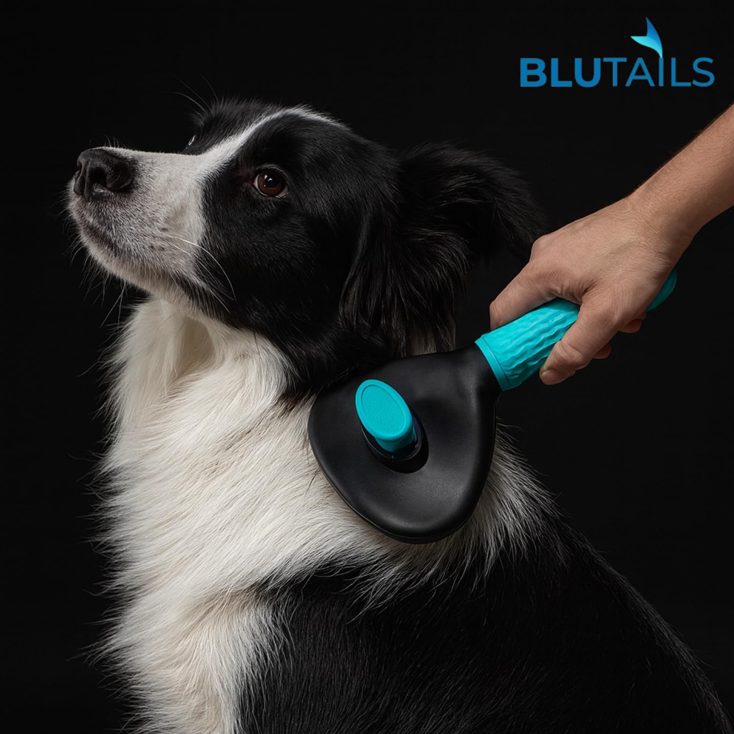 Blutails Cepillo de aseo para perros – Cepillo para gatos y peine para perros para desprendimiento, despelo y eliminación de pelo de mascotas – Cepillo suave y eficaz para perros y gatos