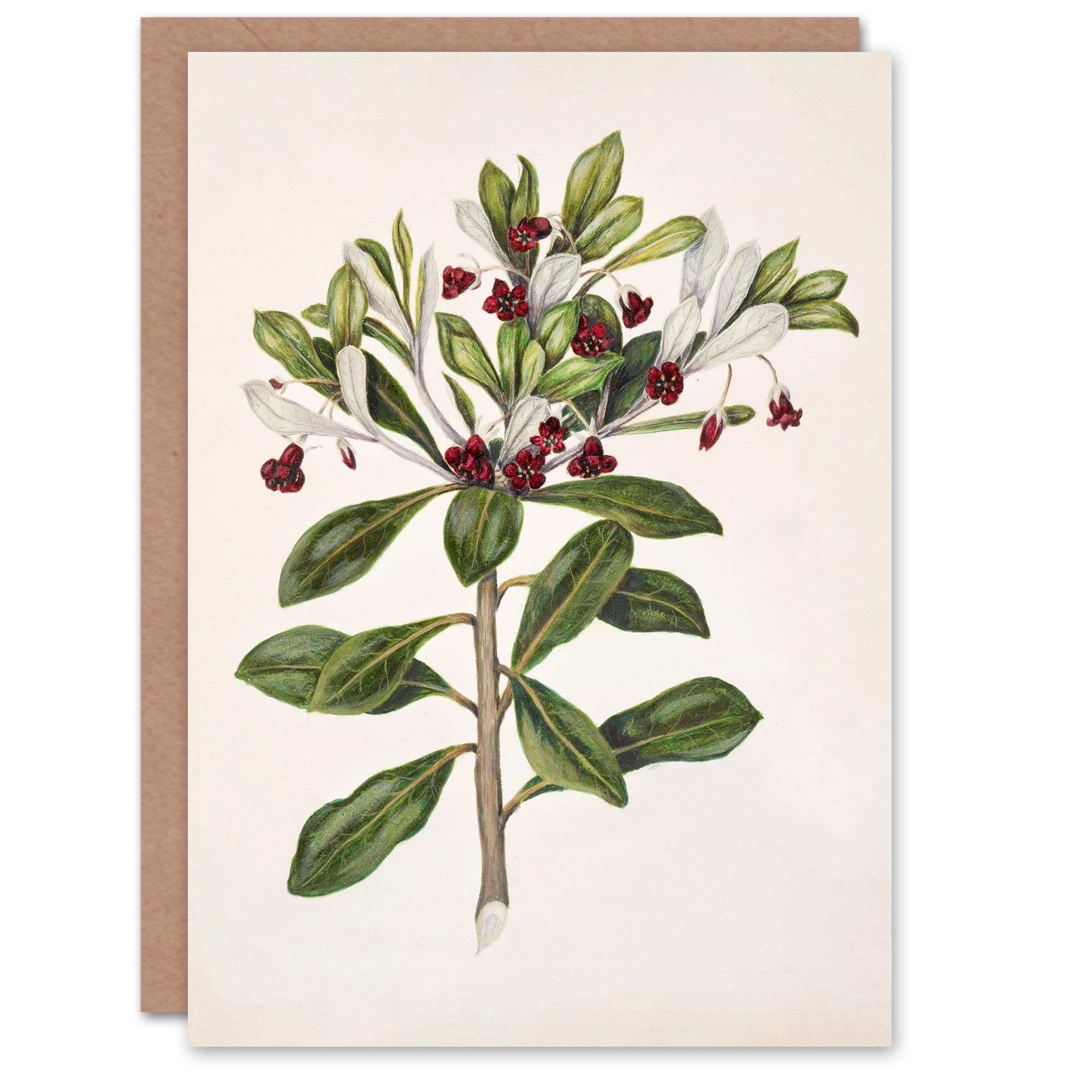 Artery8 Sarah Featon Art Card New Zealand Kohuhu and Karo Plant