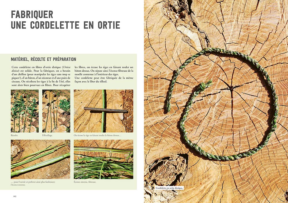 La vannerie avec des plantes sauvages