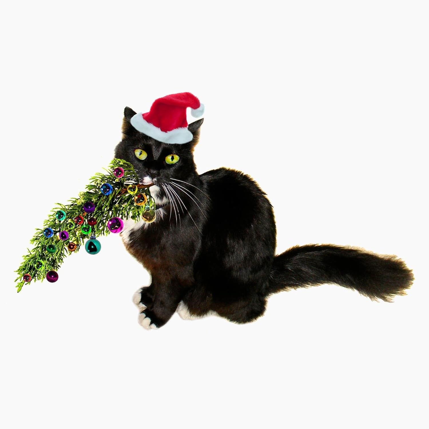 CafePress Cat Christmas Tree Greeting Card (20-pack), Note Card with Blank Inside, Birthday Card Matte
