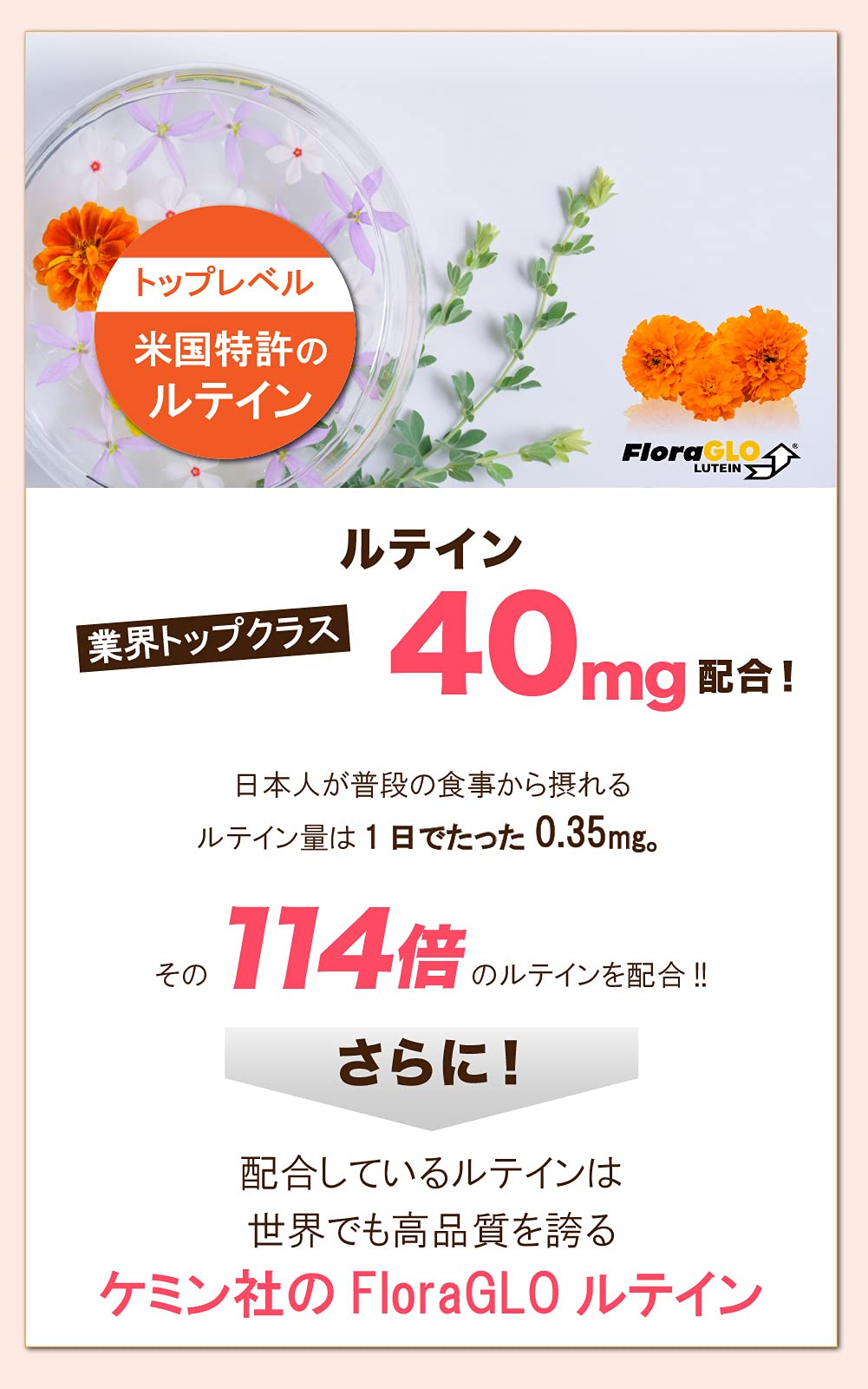 Amazon | 【リニューアルしました】ひとみの専門店 朝のルテイン