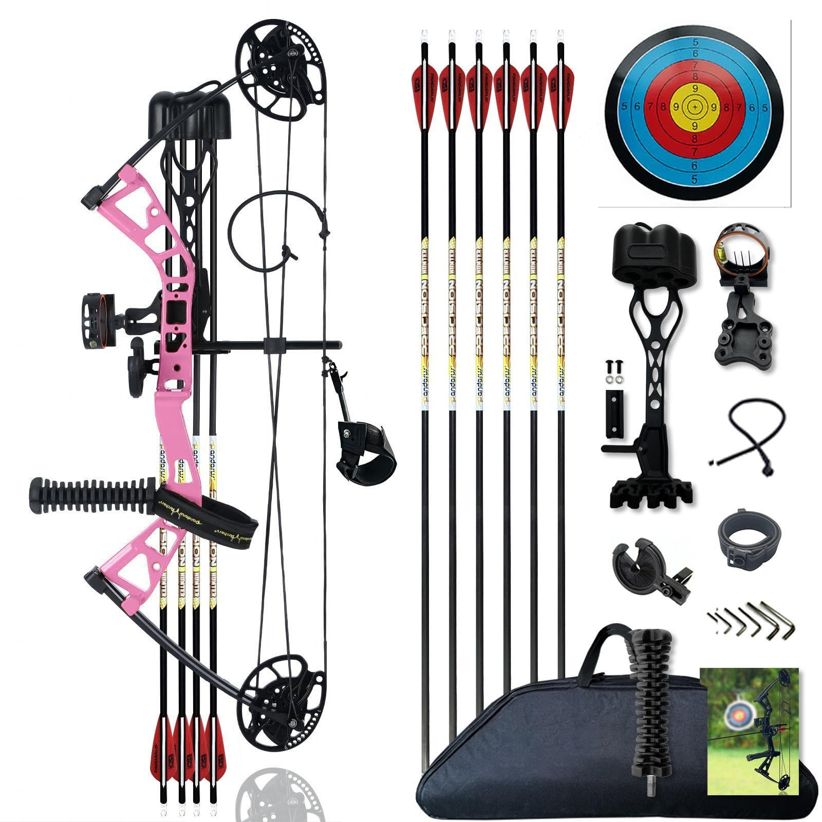 Compound Bow Set 10-40lbs for Pull Child Right Hand Lightweight Design Bow Adjustable 16"~28" Draw Length IBO 290fps New 2024 Professional Set for Youth&Kids