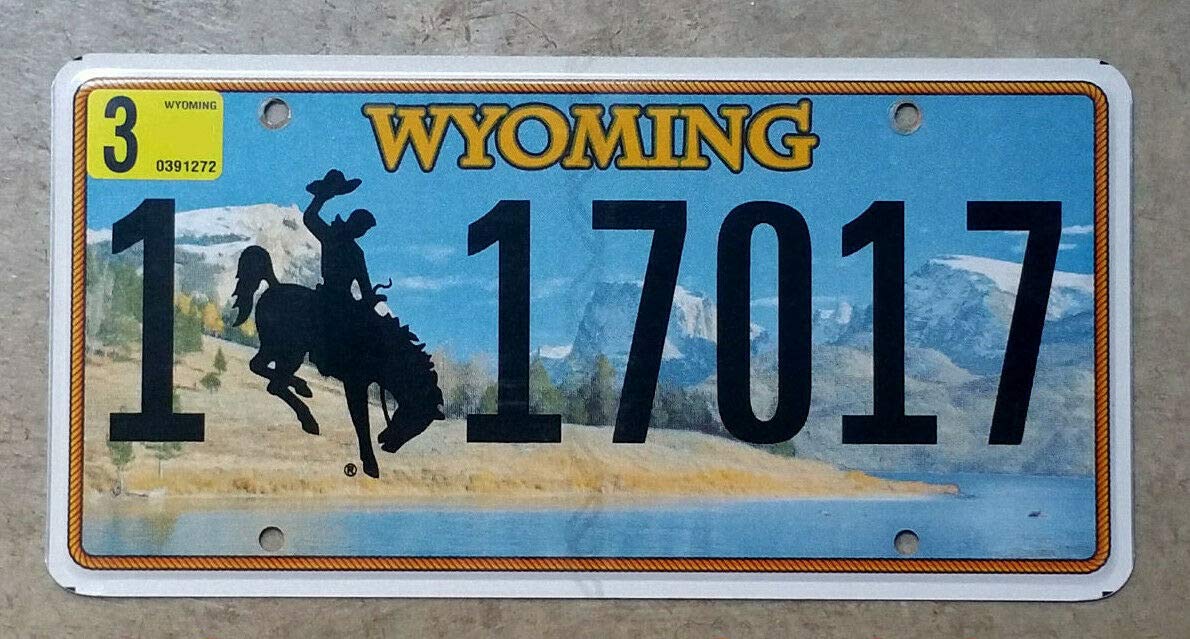 Biopracess Real Wyoming Cowboy Horse License Plate New Graphic Auto Number Car 6X12 Inches License Plate Sign