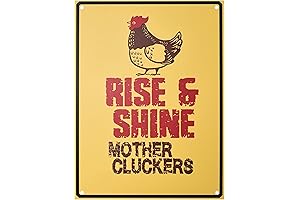 Bigtime Signs Chicken Coop Ornament: Enhancing Your Garden's Charm