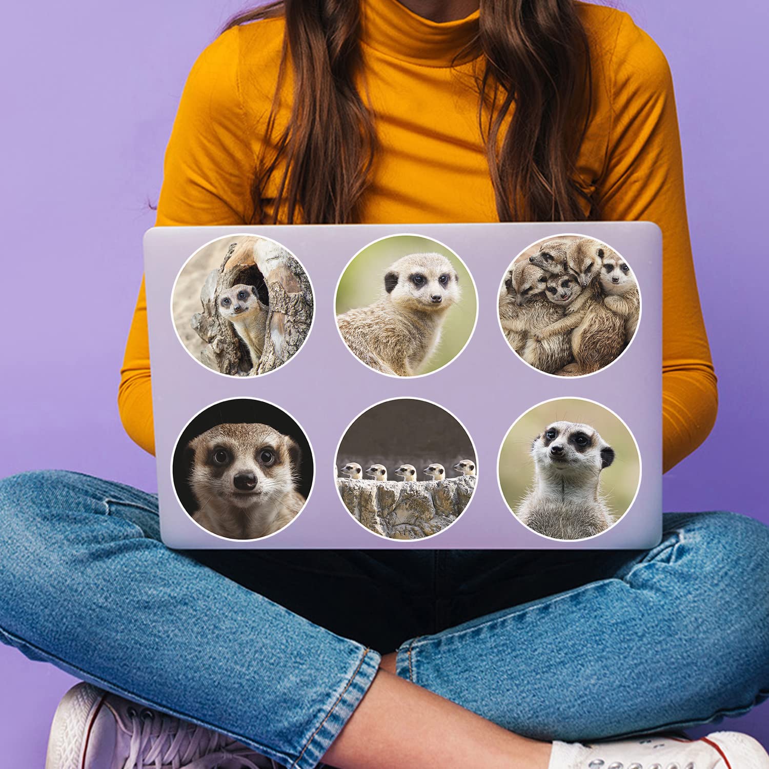 Calcomanías De Pared De La Vida De La Vida Silvtre De Los Animal