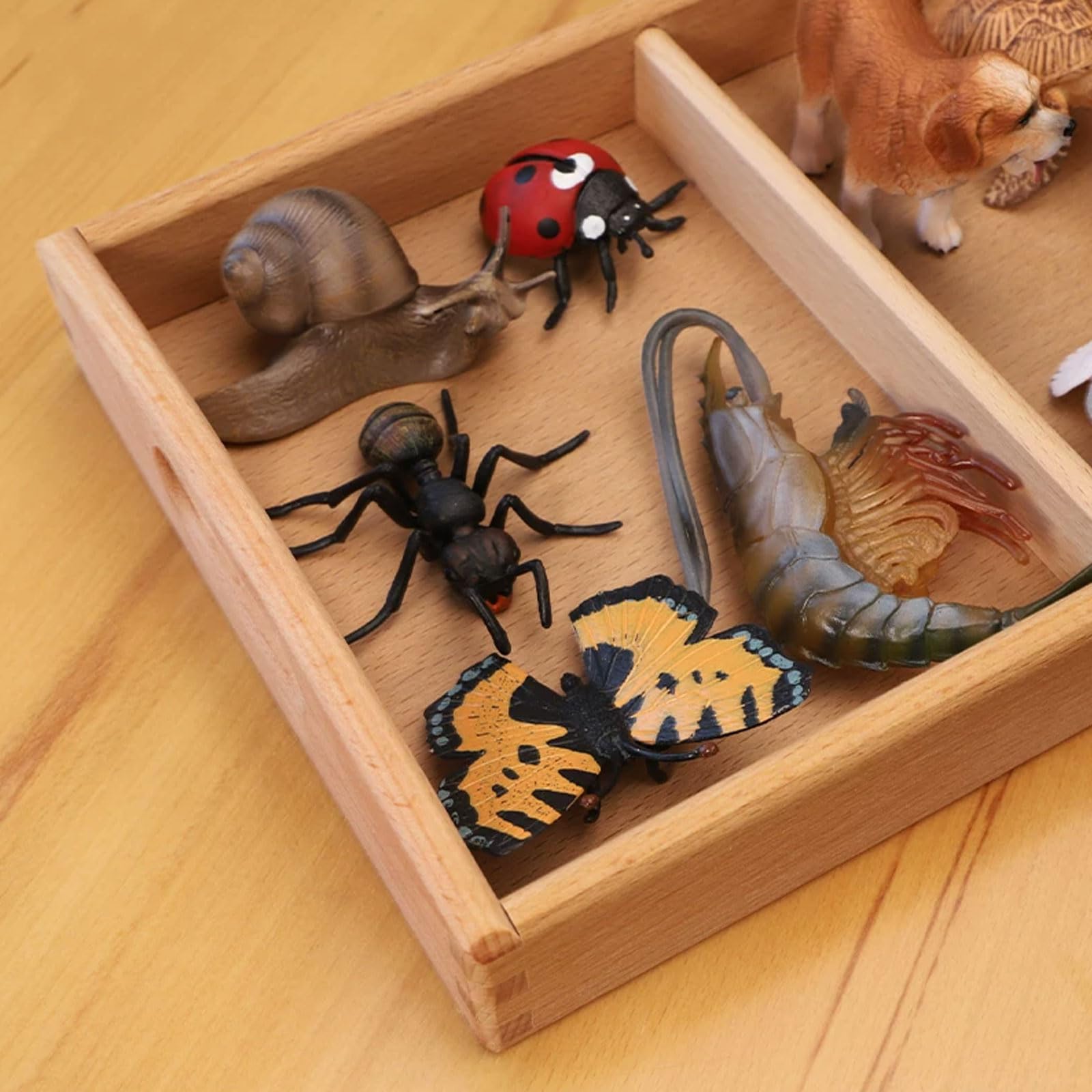Zestaw Zabawek do Klasyfikacji Zwierząt Montessori, Realistyczne Miniaturowe Figurki Zwierząt z Drewnianą Tacą do Sortowania (10 szt.)