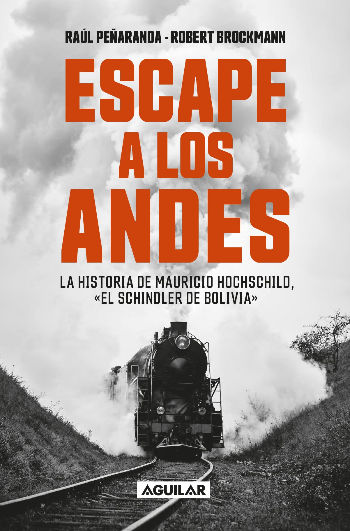 Escape a los Andes (Spanish Edition)