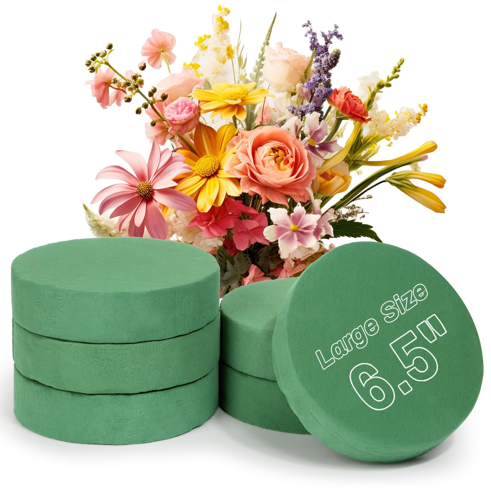 Audab 6 Pcs Round Floral Foam Blocks