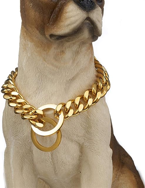 Collar de Perro de Acero Inoxidable para Perros Pequeños, Medianos y Grandes