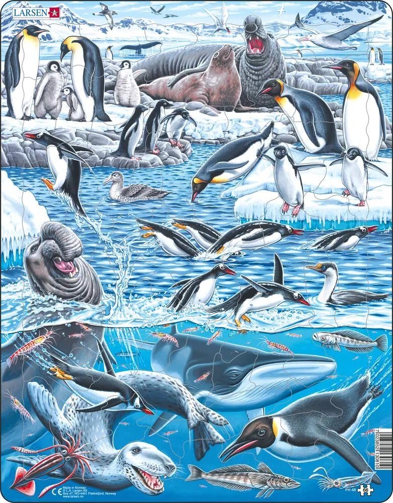 Larsen Puzzles Beautiful Antarctica 66 Piece Children's Educational Jigsaw Puzzle