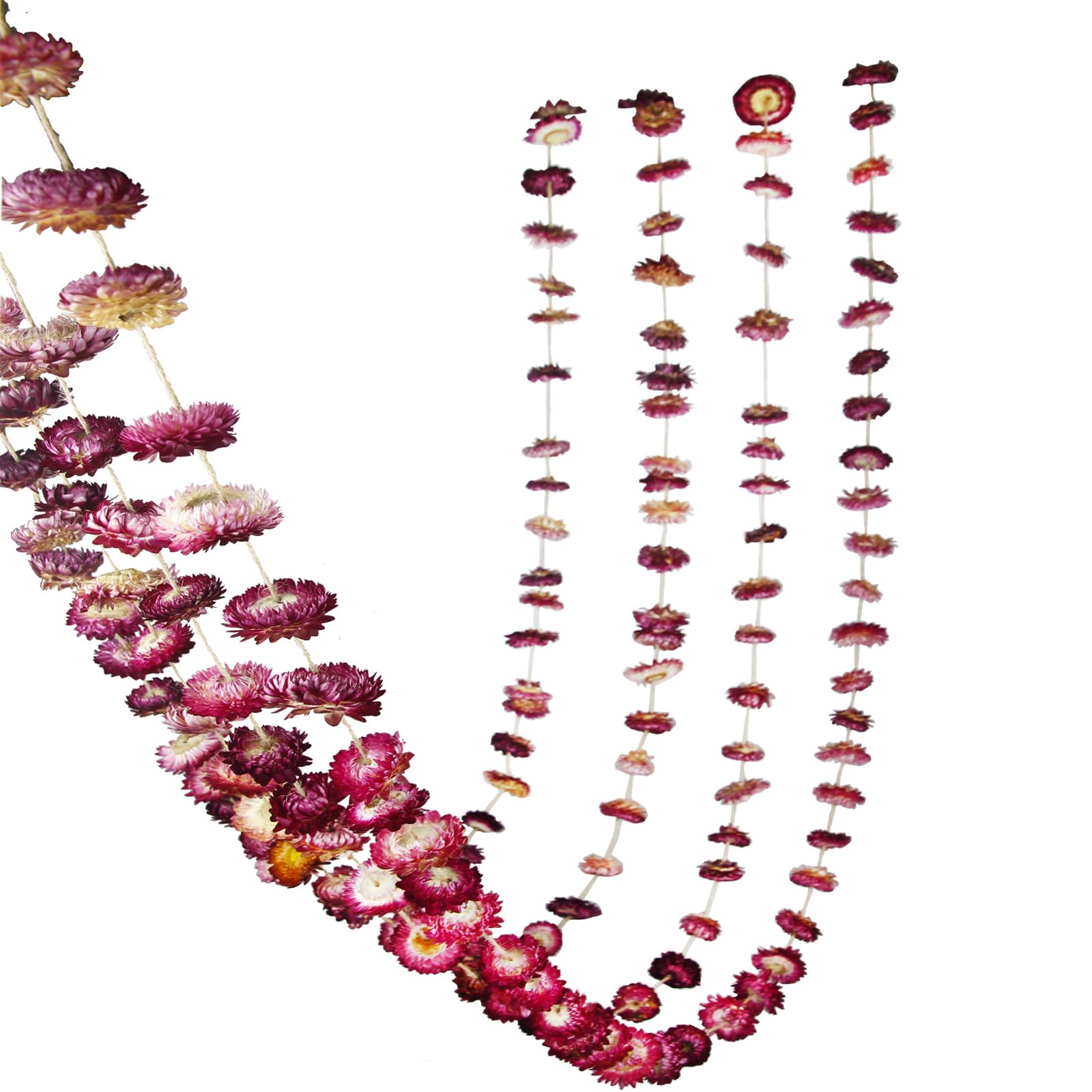 CITYES Guirlande de fleurs séchées avec marguerites naturelles et tournesols, 3,2 m, 63 pièces. Arrangement de fleurs séchées de marguerites et gerberas naturelles, décoration de mariage, style bohème