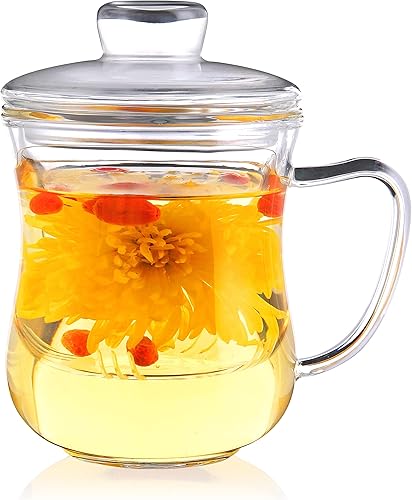 CNGLASS Taza infusora de té de vidrio borosilicato de 10 onzas con tapa, transparente, moderna, reutilizable, resistente al calor, sin BPA, apta