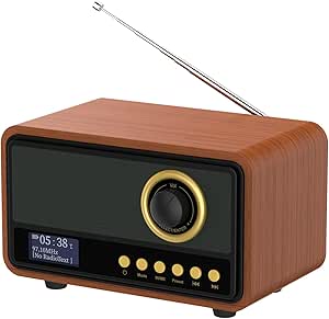 Mycket DAB/DAB+ Digitalradio, Retro UKW Radio, Batterien & Netz ...