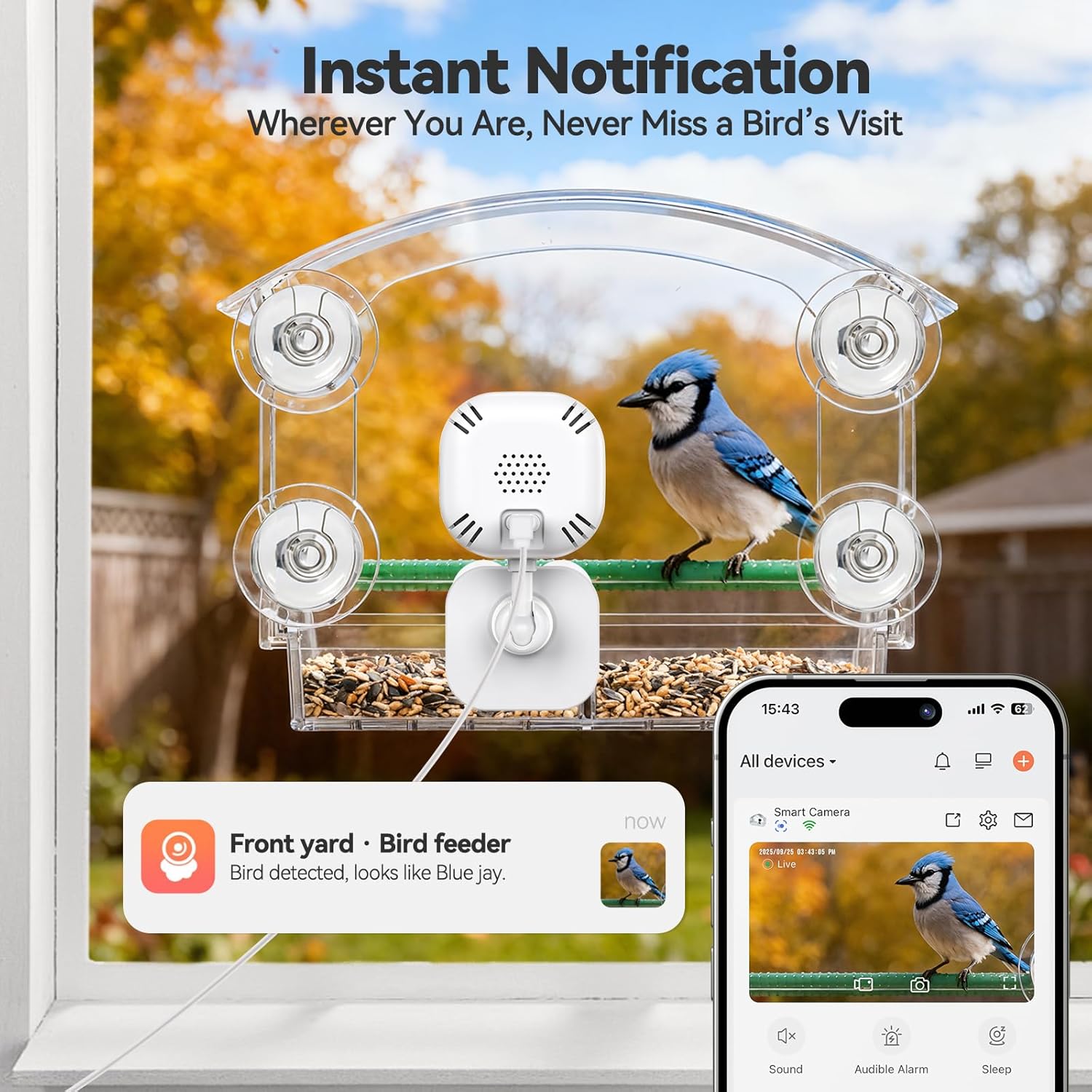 Dzees Window Bird Feeder with 2K HD Camera & AI Bird Identification, Smart Live Stream Bird Feeder for Window Mount, Auto-Capture, 2.4GHz WiFi, Strong Suction Cup Installation, Gift for Bird Lovers - Image 2