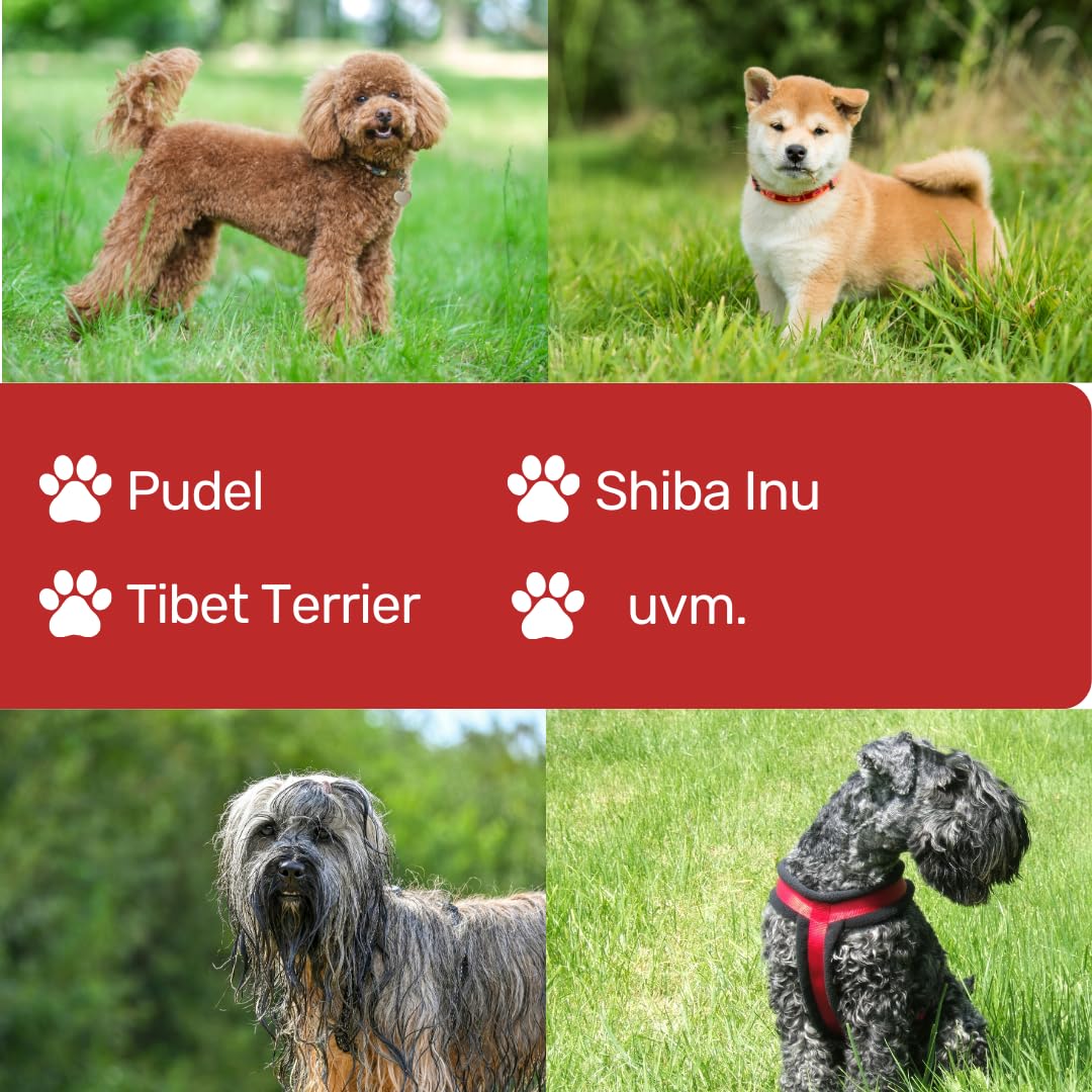 EHASO Hochwertige Gerade Hundeschere aus - Für langhaar & kurzhaar - 17 cm - Fellschere für Hunde & Katzen - Profischere für Jede Art von Fell direkt Solingen