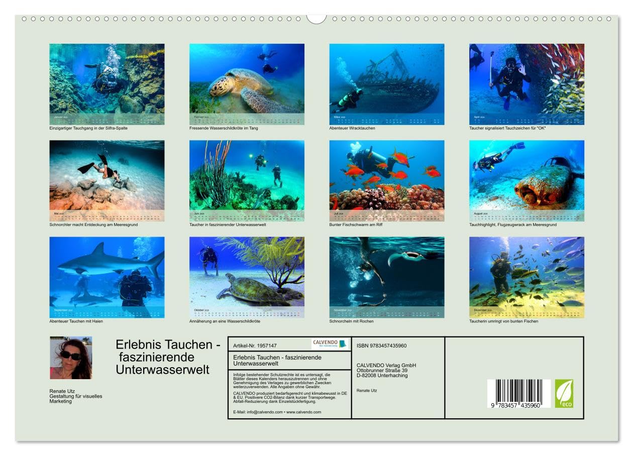 Erlebnis Tauchen - faszinierende Unterwasserwelt (hochwertiger Premium Wandkalender 2026 DIN A2 quer), Kunstdruck in Hochglanz: Spektakuläre Bilder ... Tauchrevieren der Erde (CALVENDO Sport)