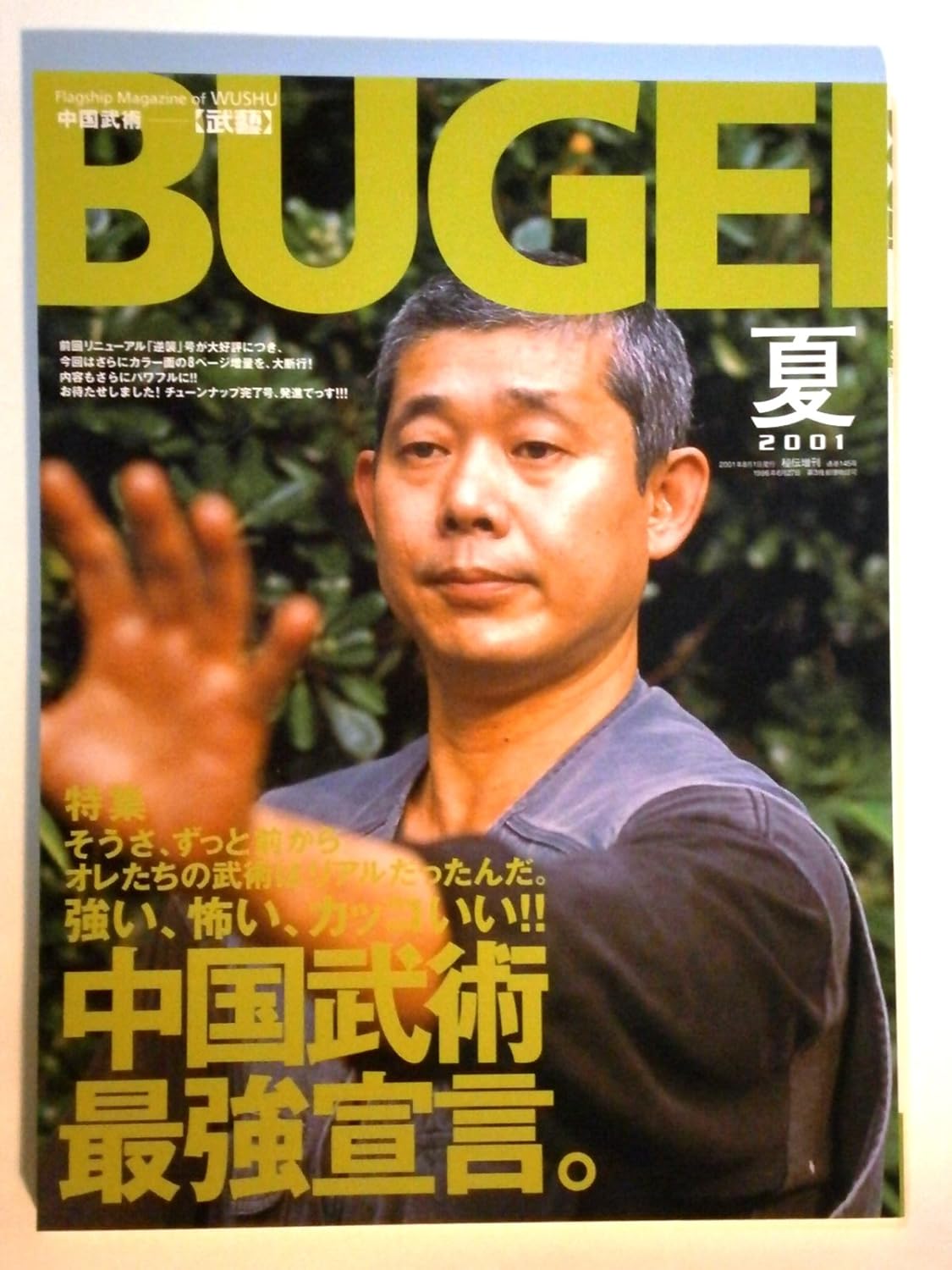 Amazon.co.jp 中国武術 武芸 BUGEI 2001年夏号 BABジャパン 本