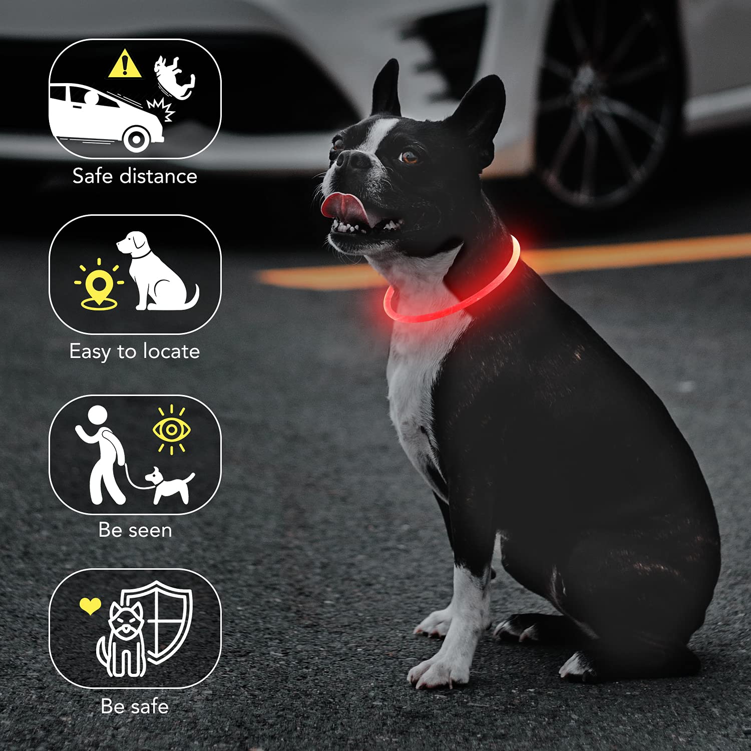Colaseeme Collar de perro con luz LED, 1 unidad, recargable por USB, TPU, brillante, de seguridad, básico, para perros grandes, medianos y pequeños (rojo)
