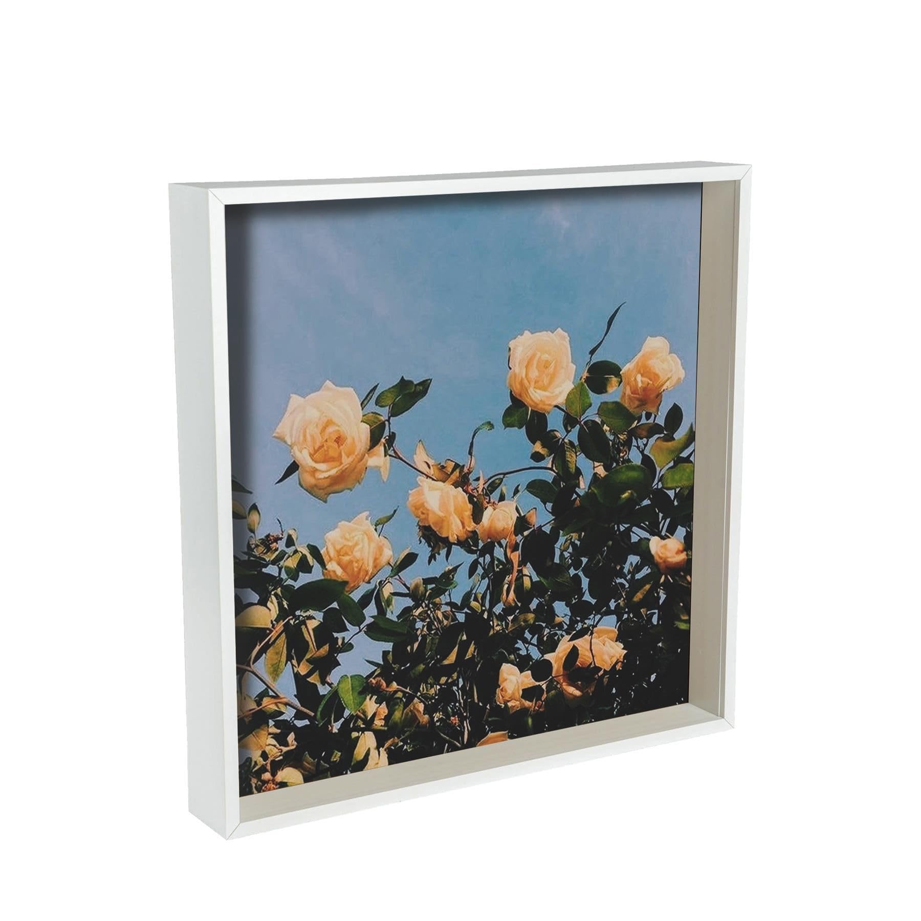 Rinkit.com White 16" X 16" 3D Deep Box Photo Frame