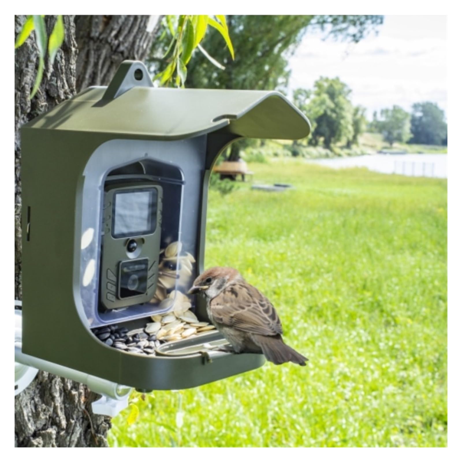 Visione Notturna A Infrarossi Telecamera For Osservazione Di Piccoli Animali For Uccelli Fotocamera For Sentieri BC-303 Che Alimentano 24MP 1080P 30 Registrazione Video Nitida