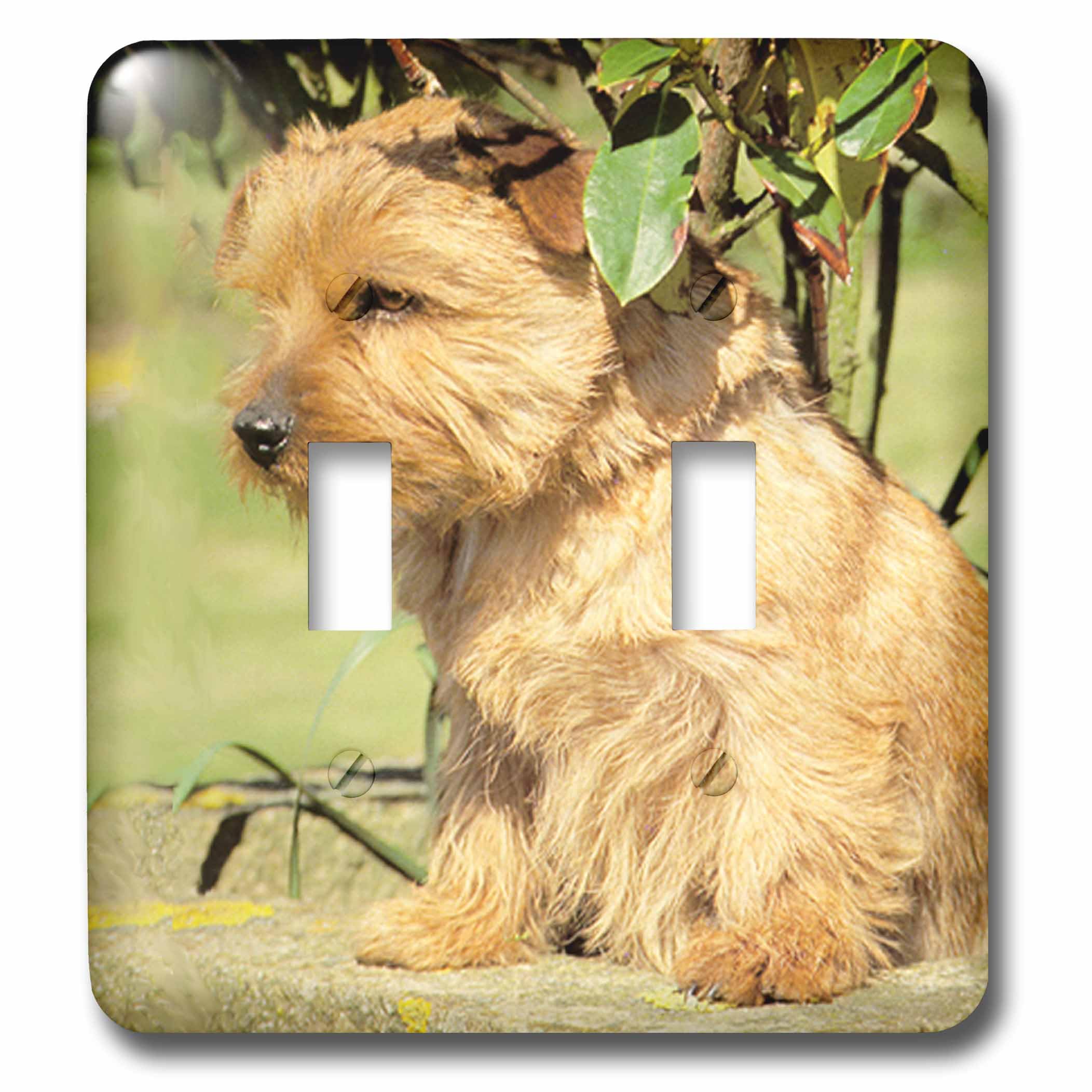 Norfolk Terrier interrupteur double plaque murale double prise