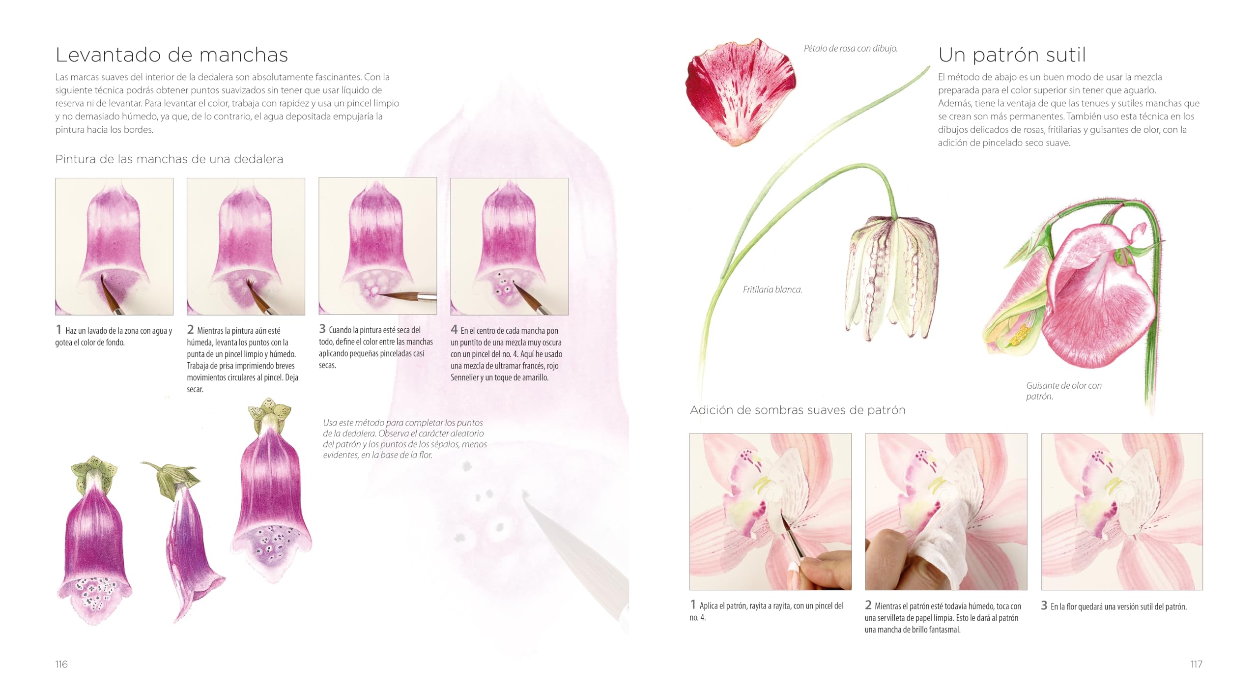 PINTURA BOTÁNICA: Aprende a pintar flores y plantas con acuarela