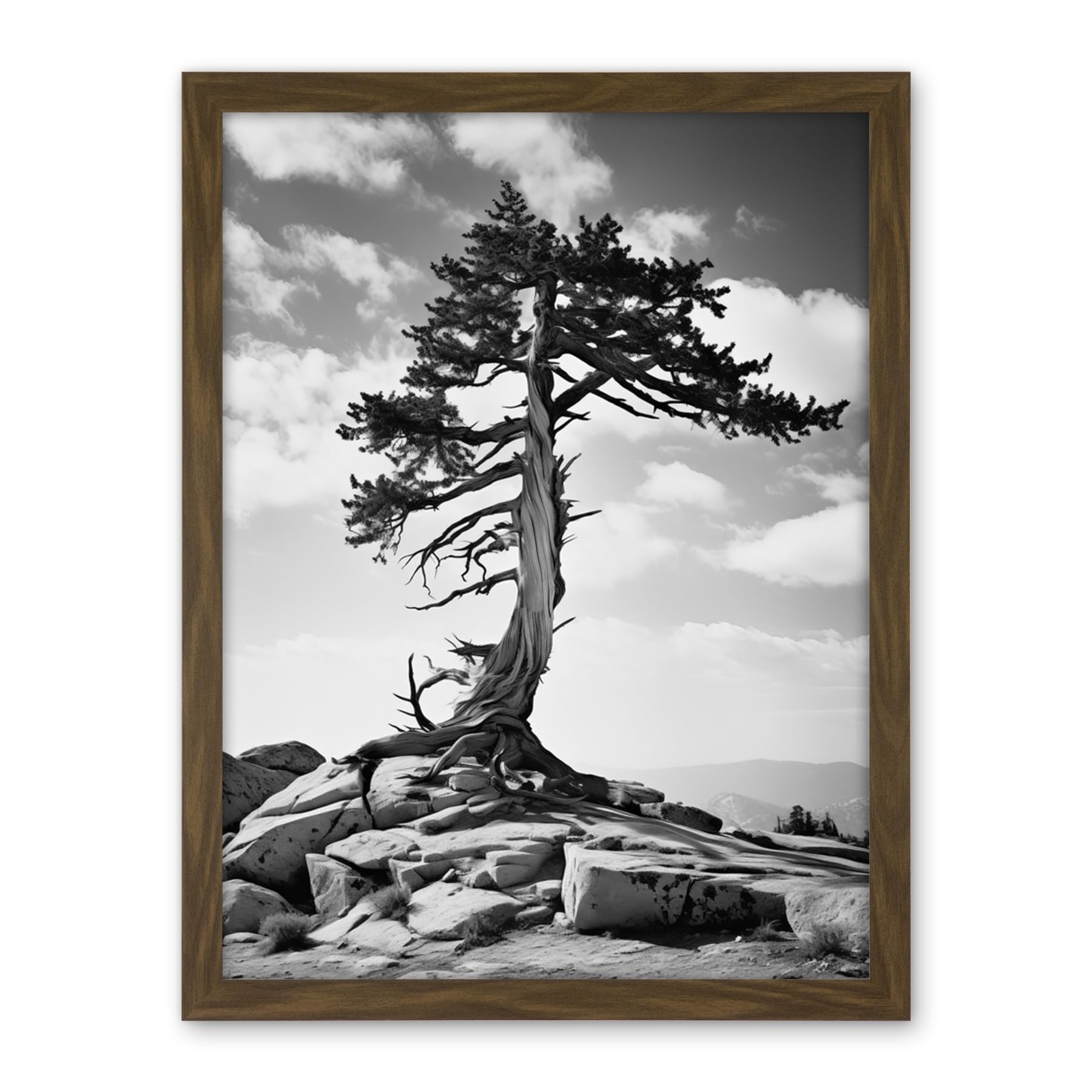 Artery8 Weathered Jeffrey Pine Standing on a Rocky Hill Black and White Photograph Lone Tree Artwork Framed Wall Art Print 18X24 Inch