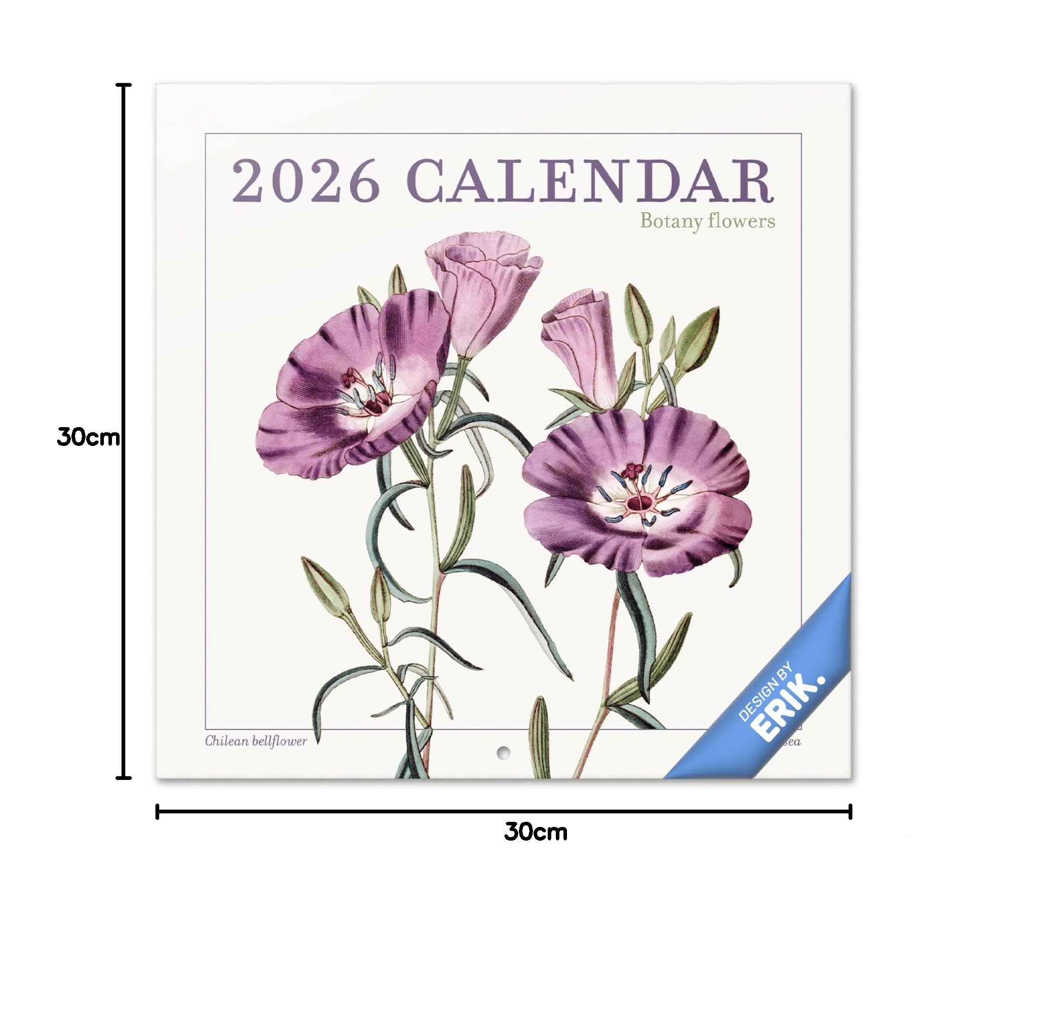 Grupo Erik Wall Calendar 2026 - Flowers Botanical Calendar 2026 | Square 30 x 30 cm - 12 x 12 inches Wall Planner, Family Planner Month To View | Botanical Gifts For Friends